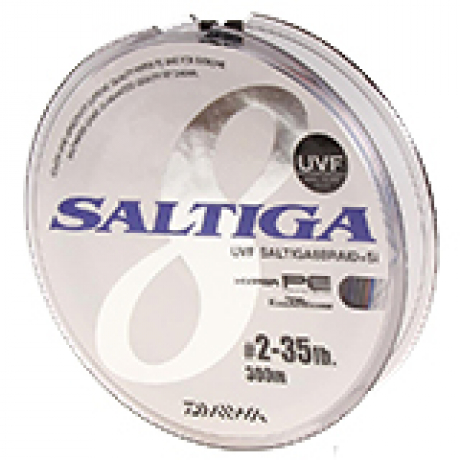 SALTIGA8.jpg
